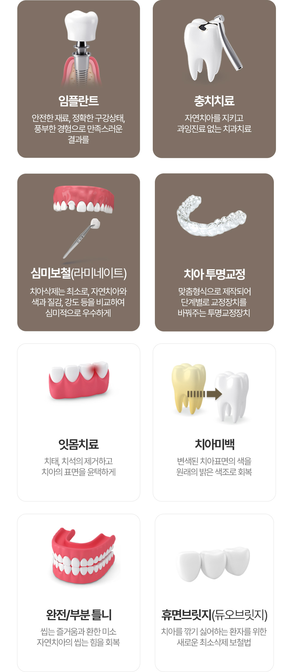진료과목